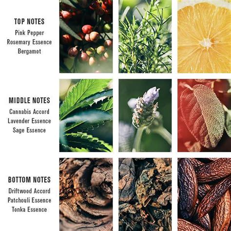 pacific cannabis baxter of california